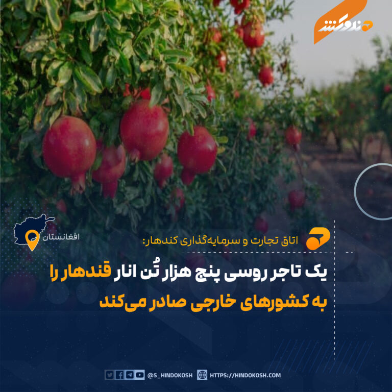 یک تاجر روسی پنج هزار تُن انار قندهار را به کشورهای خارجی صادر میکند